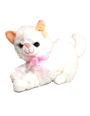 Pliušinis kačiukas su garsais