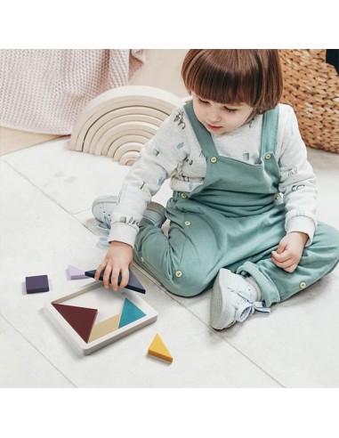 Tangram 50 pavyzdžių