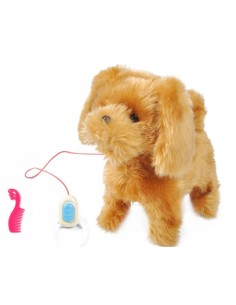 Interaktyvus šunelis su pavadėliu-pulteliu