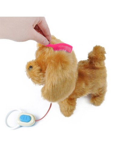 Interaktyvus šunelis su...