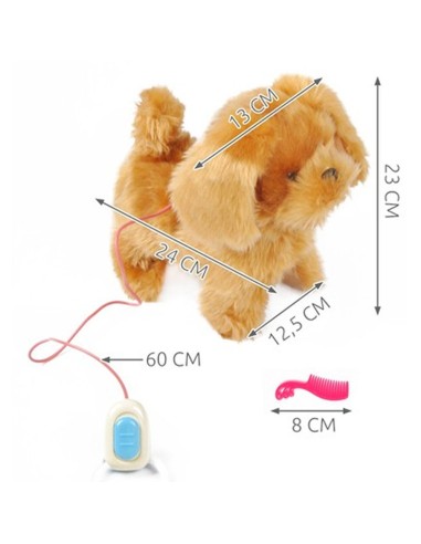 Interaktyvus šunelis su...