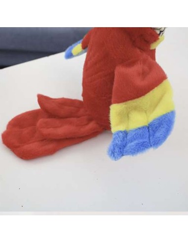 Papūga - kartoja viska