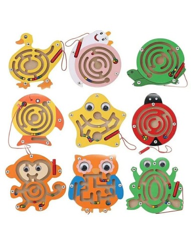 Mažas magnetinis labirintas