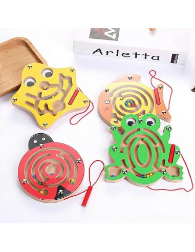 Mažas magnetinis labirintas