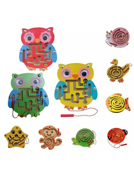 Mažas magnetinis labirintas