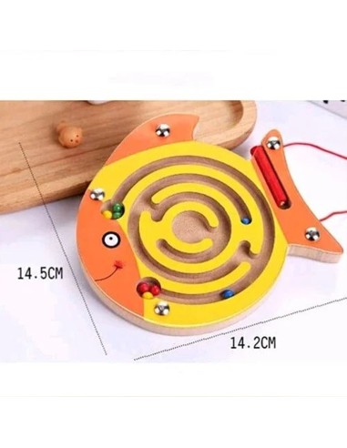 Mažas magnetinis labirintas