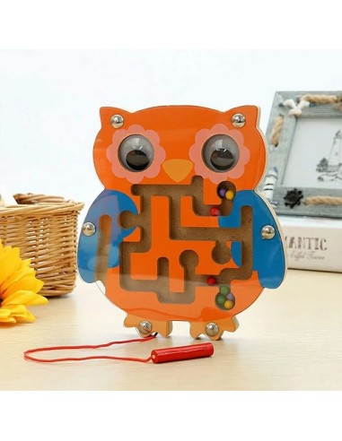 Mažas magnetinis labirintas