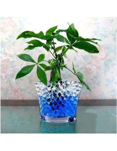 Vandens rutuliukai, hidrogel, orbizai...