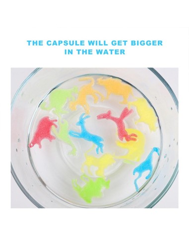 Magic Grow 5 kapsulių rinkiniai su...