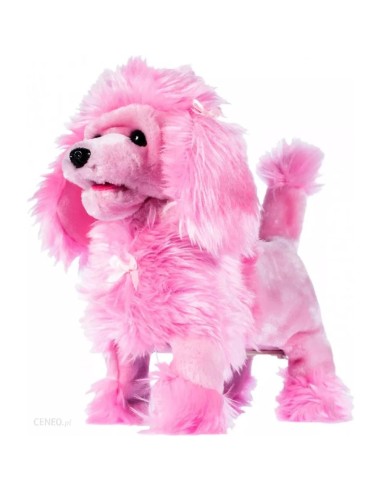 Interaktyvus šunelis su...