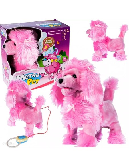 Interaktyvus šunelis su pavadėliu-pulteliu PILKAS