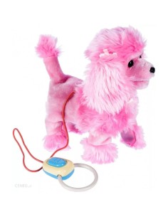 Interaktyvus šunelis su pavadėliu-pulteliu PILKAS