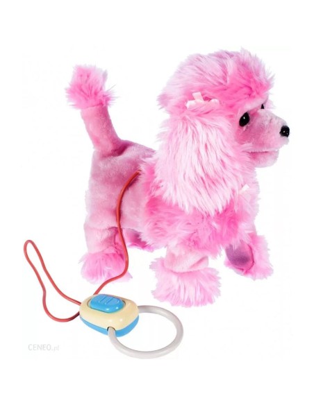 Interaktyvus šunelis su pavadėliu-pulteliu PILKAS