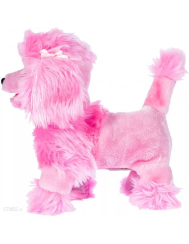 Interaktyvus šunelis su...