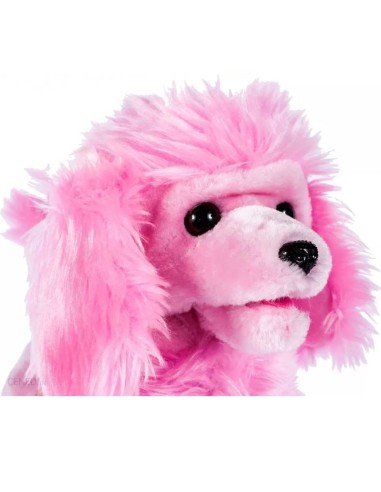 Interaktyvus šunelis su...