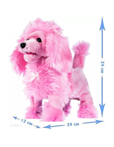 Interaktyvus šunelis su...