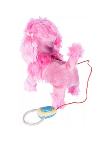 Interaktyvus šunelis su...