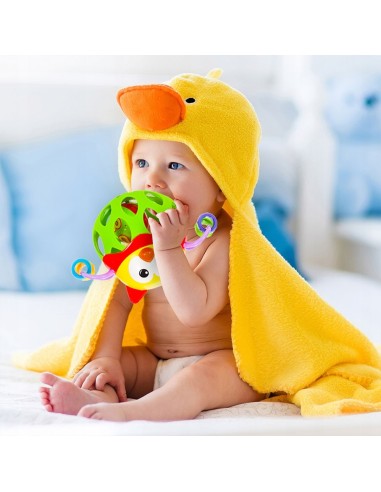 Tyrinėjimo-kraoštymo barškutis...