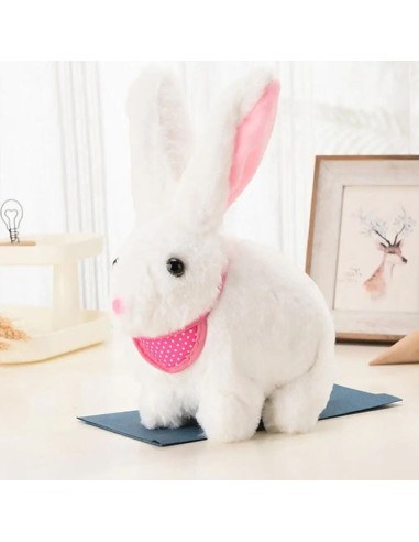 Mielas muzikinis šokinėjantis triušis