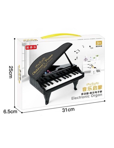 Barbies fortepijonas ELECTRIC ORGAN...