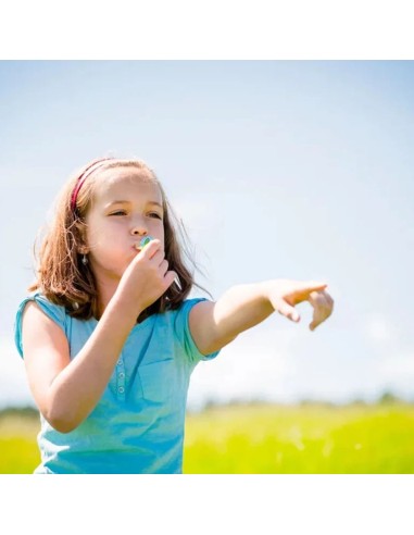 Medinis švilpukas paukščiukas