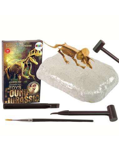 Archeologijos kasinėjimų rinkinys -...