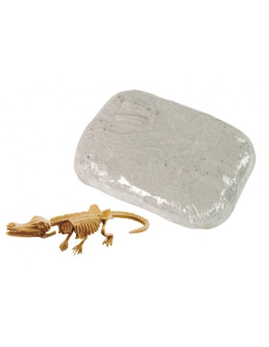 Archeologijos kasinėjimų rinkinys -...