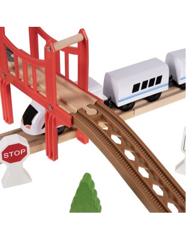 Medinis greitasis traukinukas su...