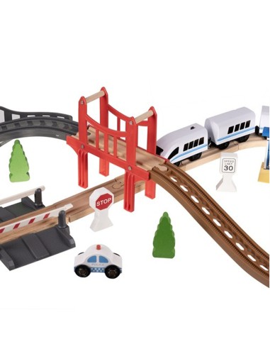 Medinis greitasis traukinukas su...