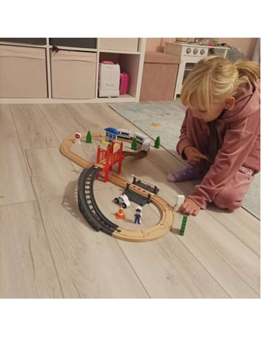 Medinis greitasis traukinukas su...