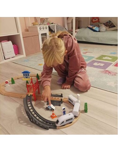 Medinis greitasis traukinukas su...