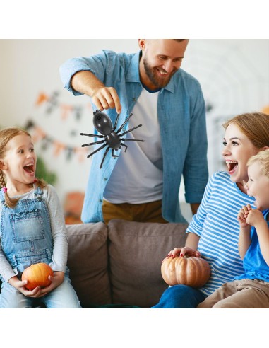 Nuotoliniu būdu valdomas juodas voras...