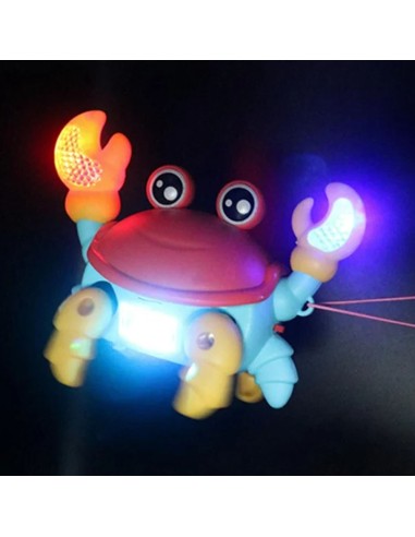 Muzikinis vaikščiojantis krabas,...