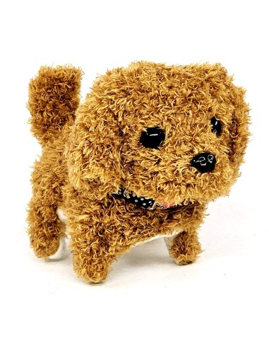 Interaktyvus augintinis -...