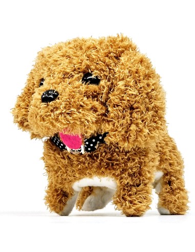 Interaktyvus augintinis -...