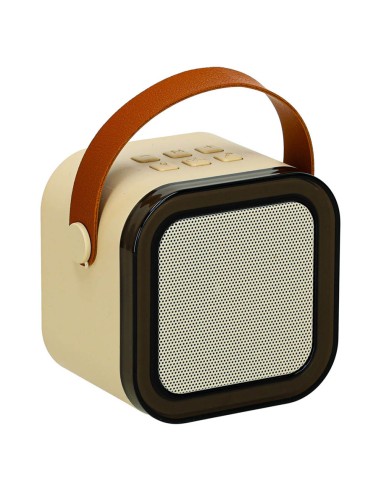 Nešiojama karaoke sistema su dviem...