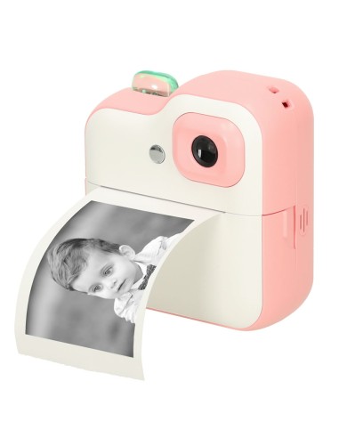 Mini studija - fotoaparatas su terminiu spausdintuvu