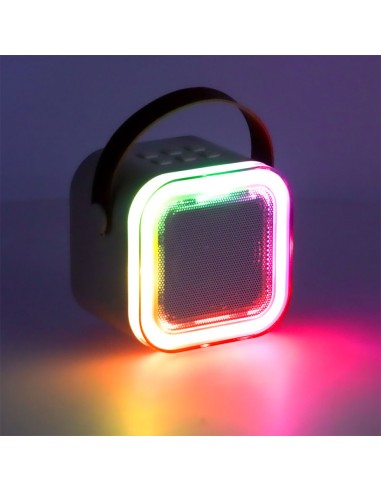 Mini studija - nešiojama karaoke...