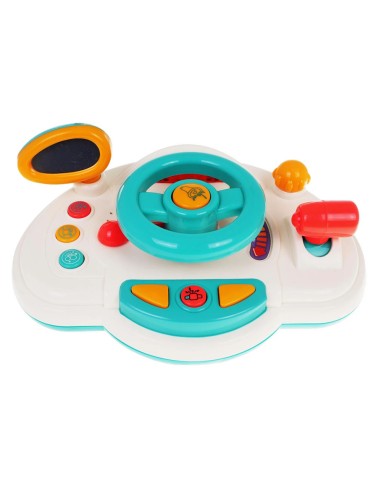 Daugiafunkcis vairavimo simuliatorius...