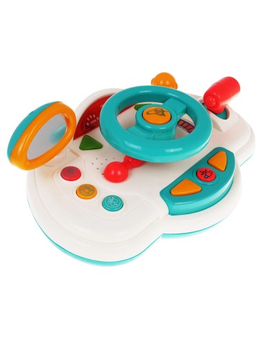 Daugiafunkcis vairavimo simuliatorius...