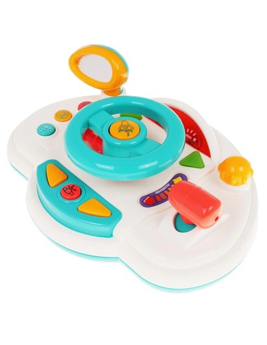 Daugiafunkcis vairavimo simuliatorius...