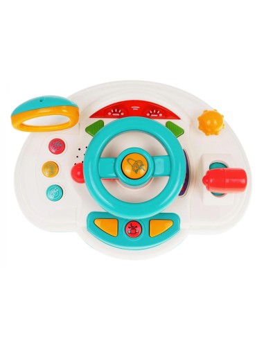 Daugiafunkcis vairavimo simuliatorius...