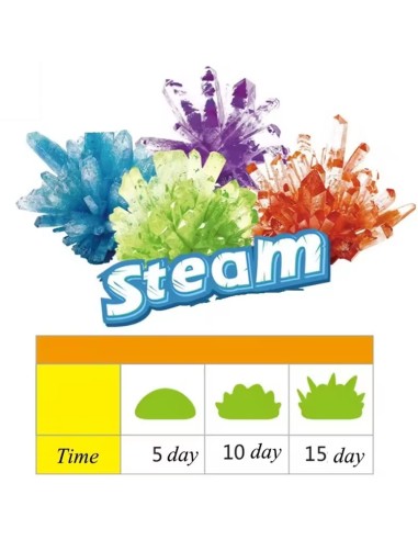 Kristalų augimo mokslo eksperimentas...