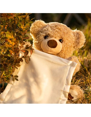 Meškiukas dainuoja ir slepiasi po...