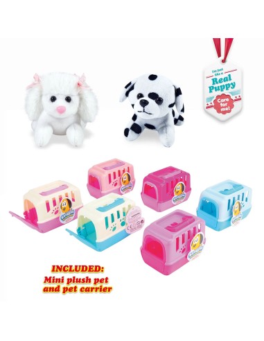 Šuniukas keliauninkas su jaukiu nameliu