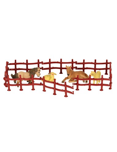 Safario nuotykiai namuose - gyvūnų...