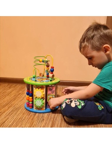 Atrask ir Išmok: Medinis Lavinamasis...