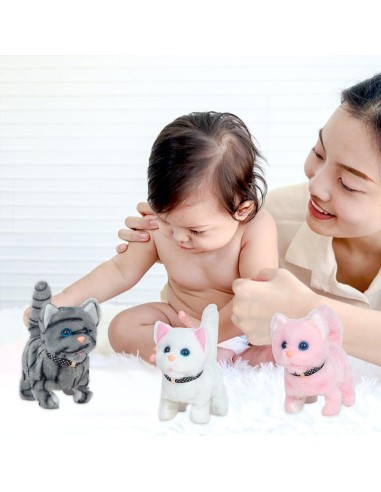 Mano pirmasis elektroninis katinas –...