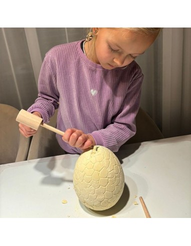 Archeologijos rinkinys - iškask savo...