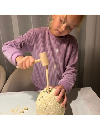 Paleontologo rinkinys: leiskis į dinozaurų kasinėjimus!